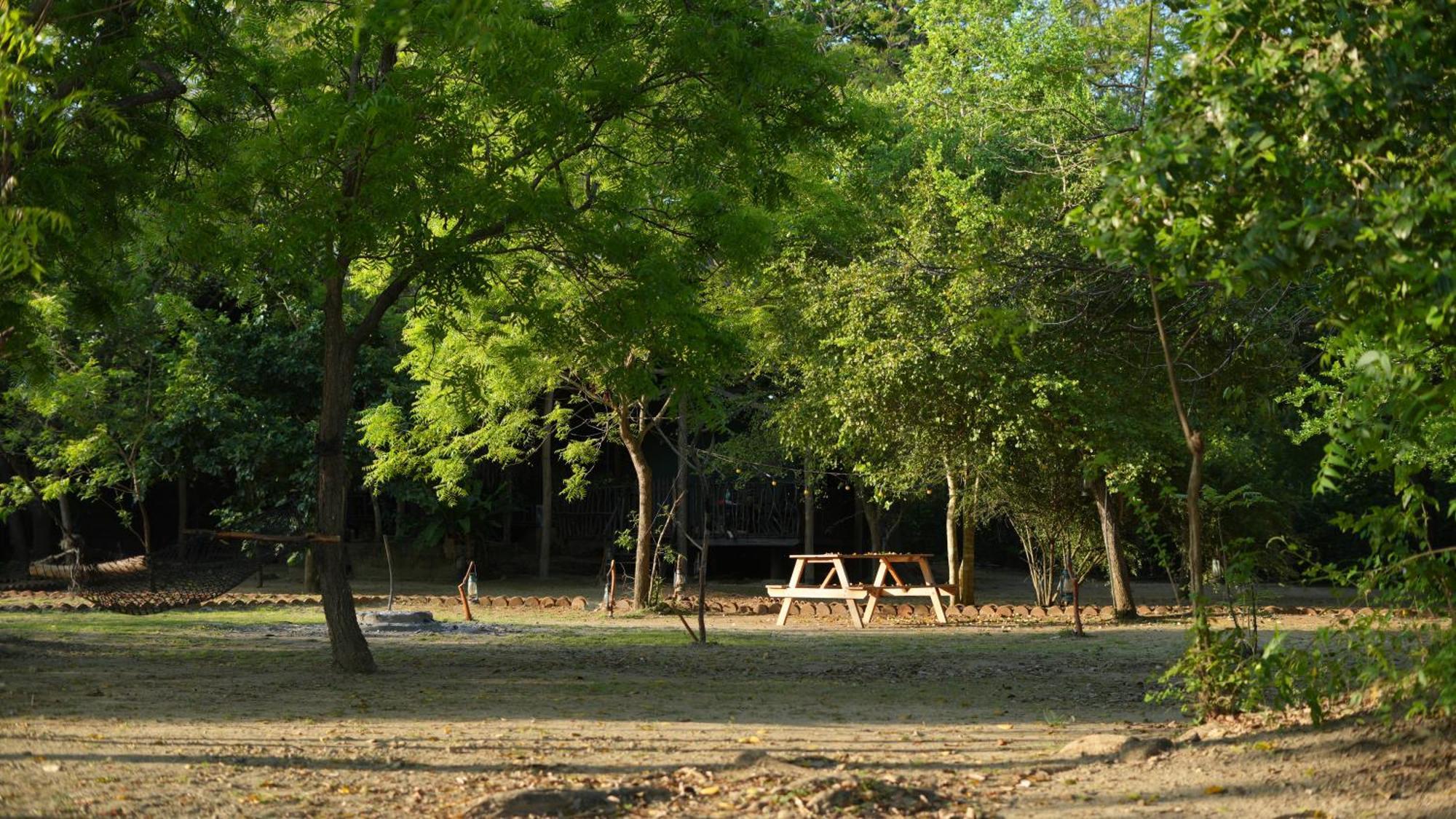 Camp Leopard - Yala Safari Glamping Hotel Exterior photo